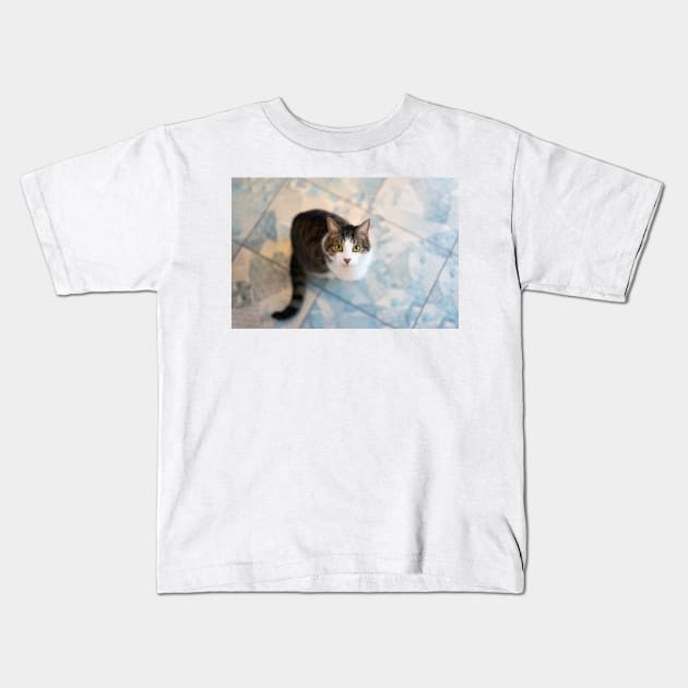 The Cat Kids T-Shirt by BrazoocaArt